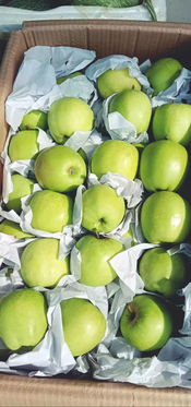 广南国际物流综合贸易中心迎来新活力 新水果批发市场正式进驻，引领新鲜水果零售新篇章